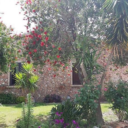 Agriturismo Pingitore Luzzi Exterior foto