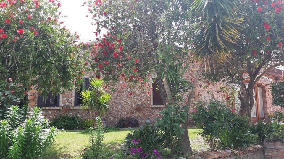 Agriturismo Pingitore Luzzi Exterior foto