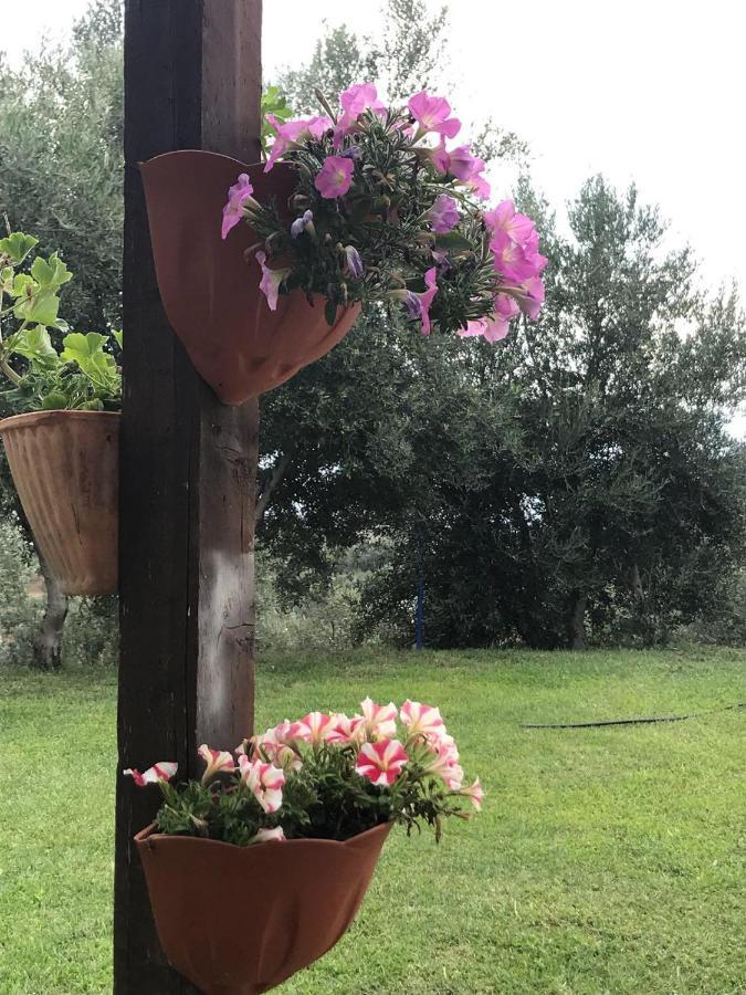 Agriturismo Pingitore Luzzi Exterior foto